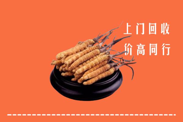 高价求购：灵璧县回收散虫草