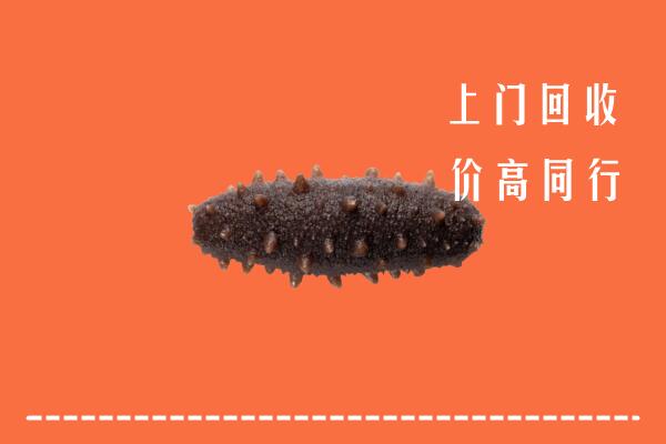 高价求购：灵璧县回收海参