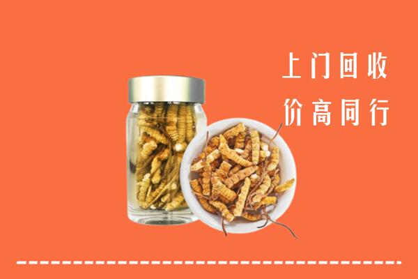灵璧县回收冬虫夏草