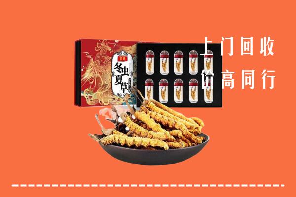灵璧县回收虫草